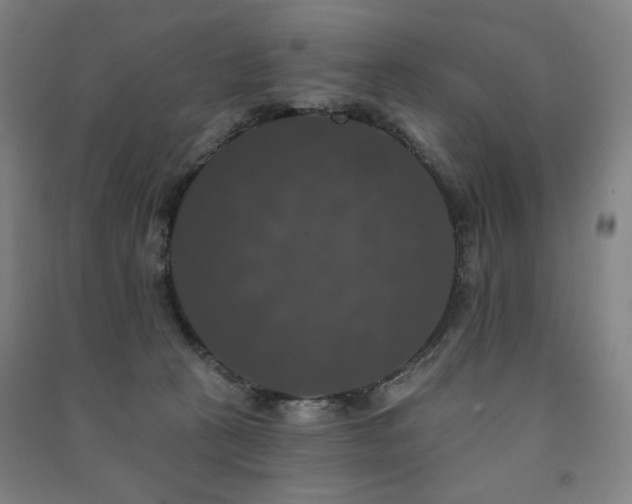 X0000091460273200708161528