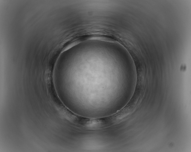 X0000091460274200708161528