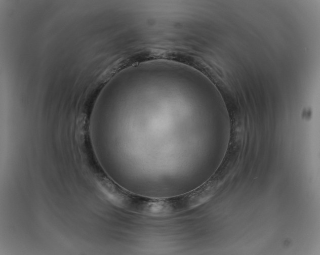 X0000091460275200708161528