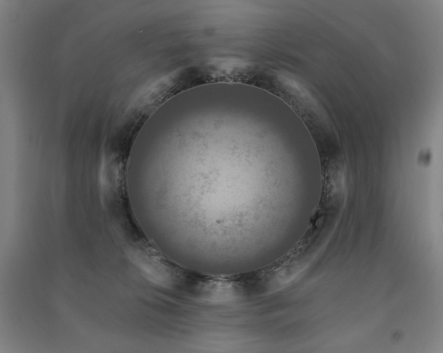 X0000091460276200708161528