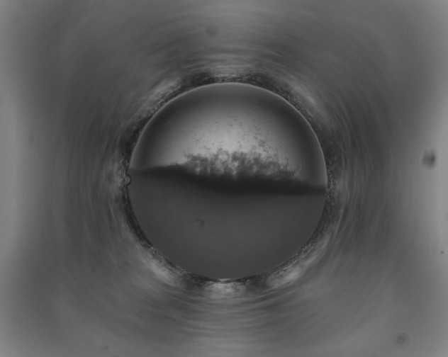 X0000091460277200708161528