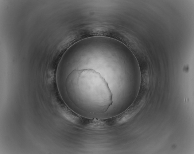 X0000091460278200708161528