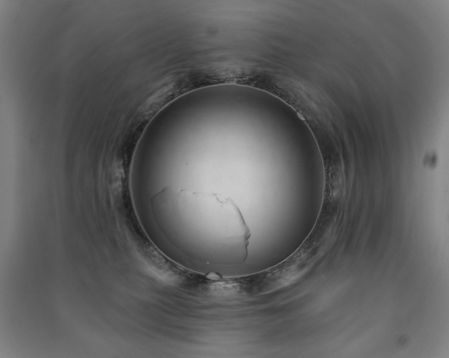 X0000091460279200708161528