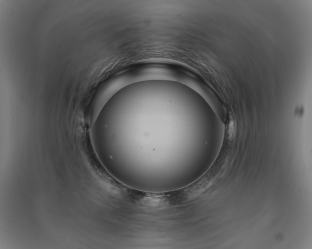 X0000091460280200708161528