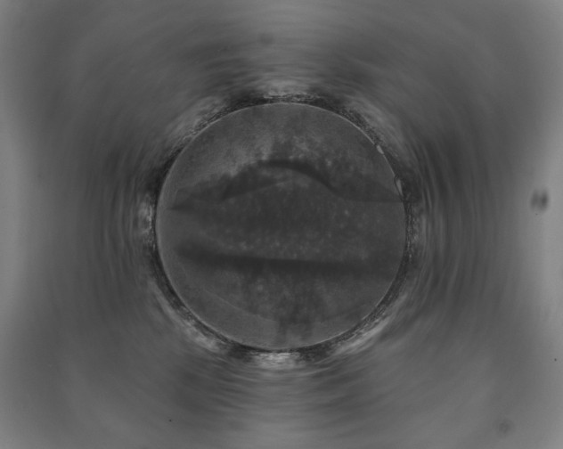 X0000091460281200708161528