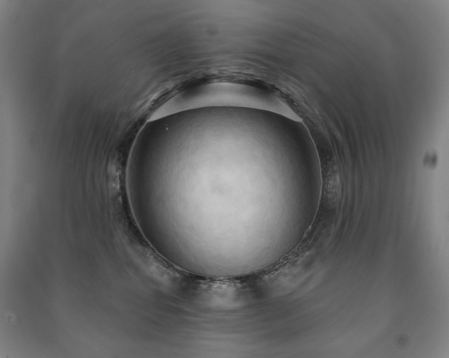 X0000091460282200708161528