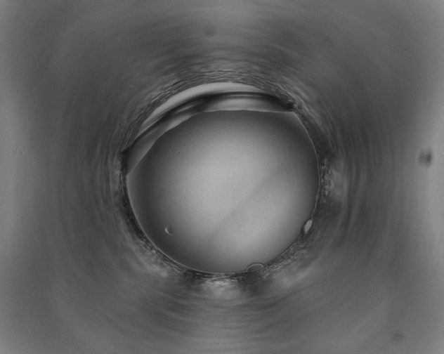 X0000091460283200708161528