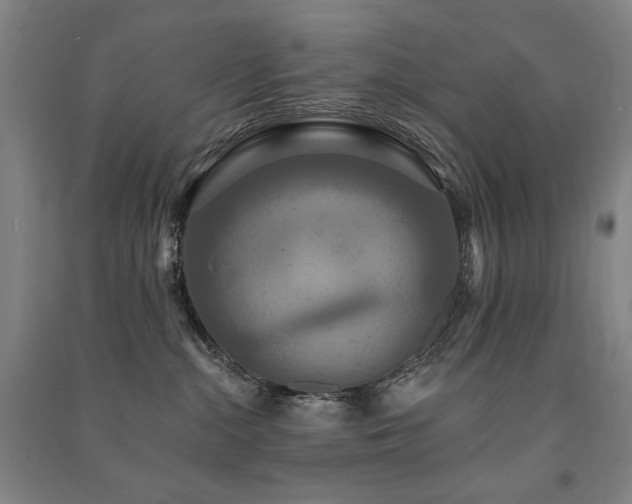 X0000091460284200708161528