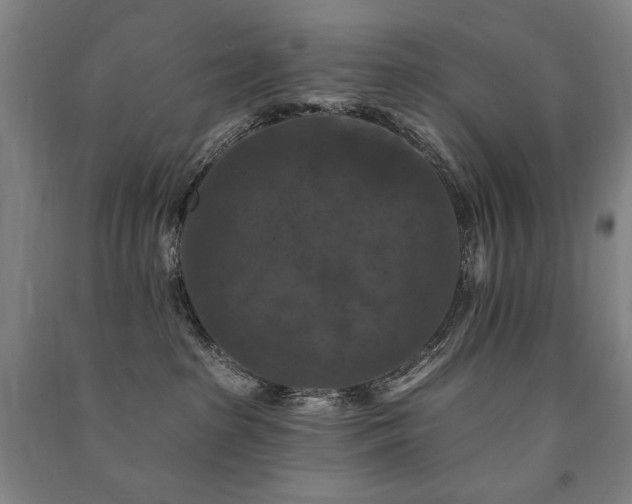 X0000091460285200708161528