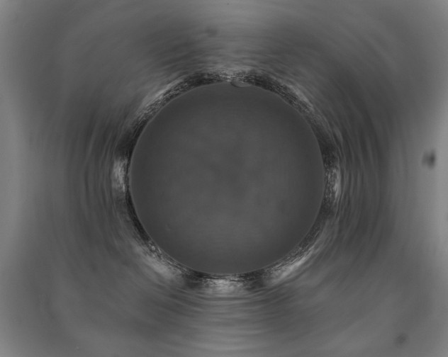 X0000091460286200708161528