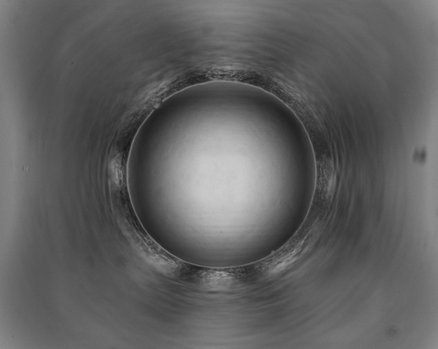 X0000091460287200708161528
