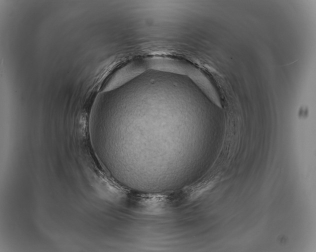 X0000091460288200708161528