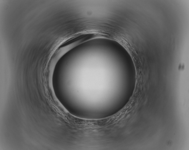 X0000091460289200708161528
