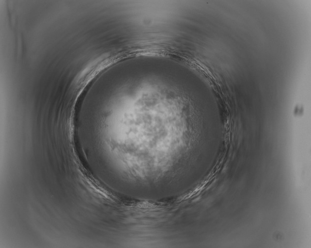 X0000091460290200708161528