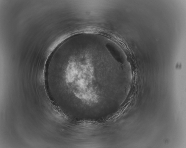 X0000091460292200708161528