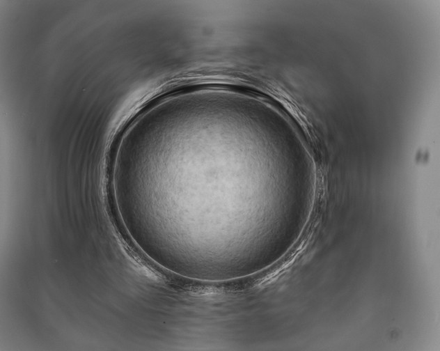 X0000091460293200708161528