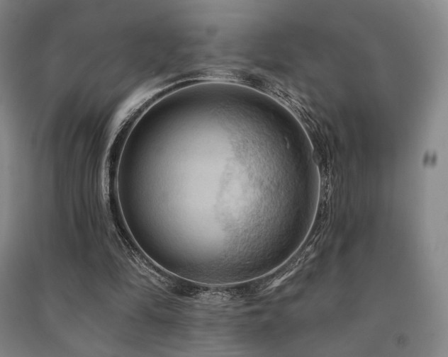 X0000091460294200708161528