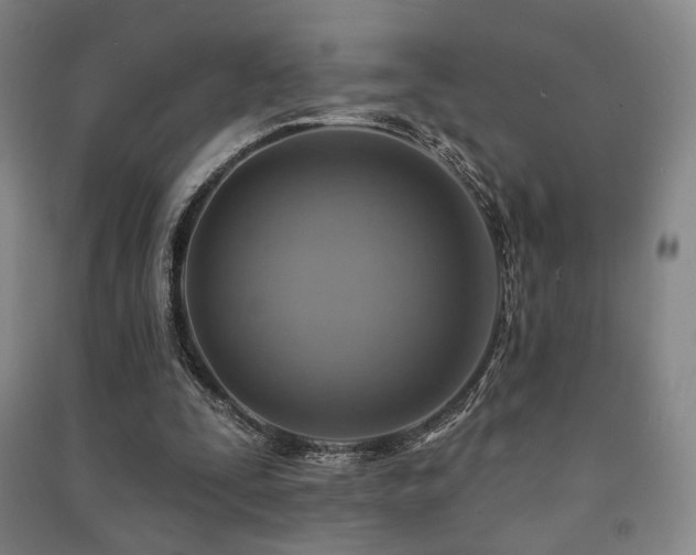 X0000091460295200708161528