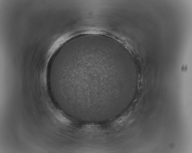 X0000091460296200708161528