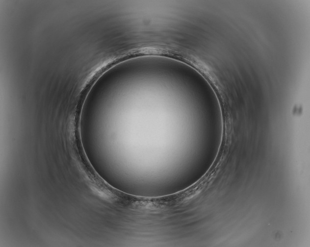 X0000091460297200708161528