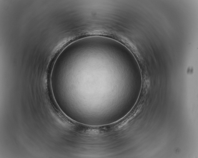 X0000091460298200708161528