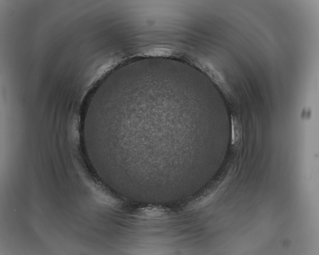 X0000091460300200708161527