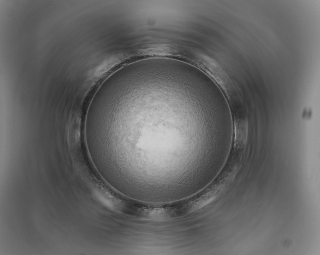 X0000091460301200708161527