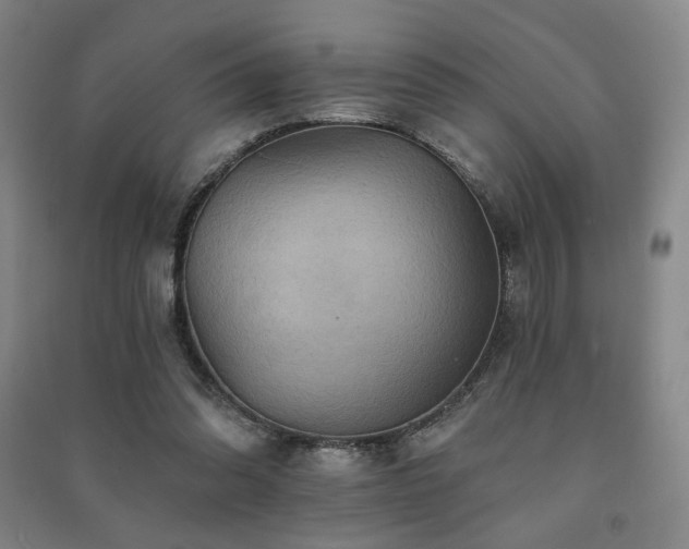 X0000091460302200708161527