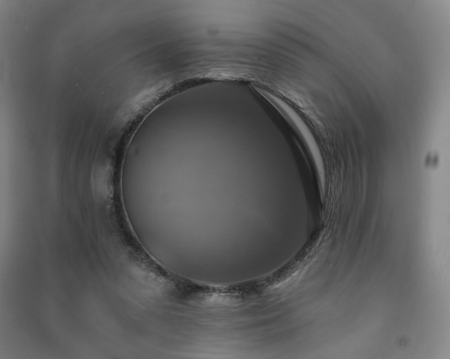 X0000091460303200708161527