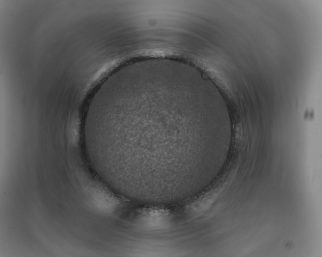 X0000091460304200708161527