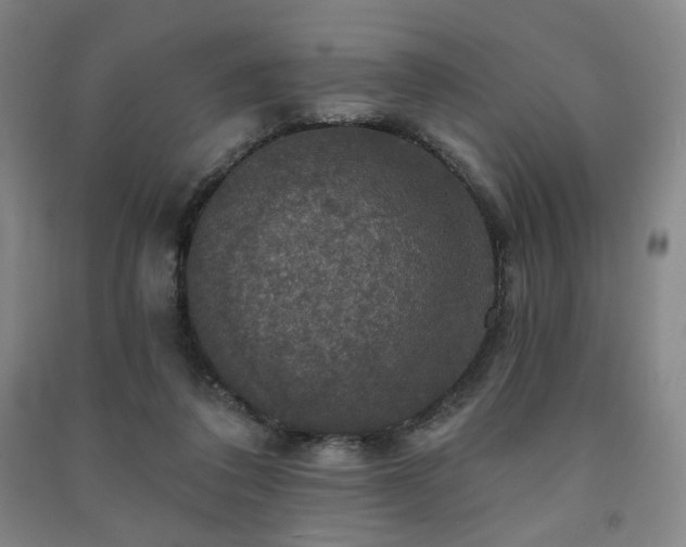 X0000091460308200708161527