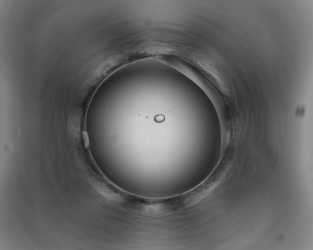 X0000091460309200708161527