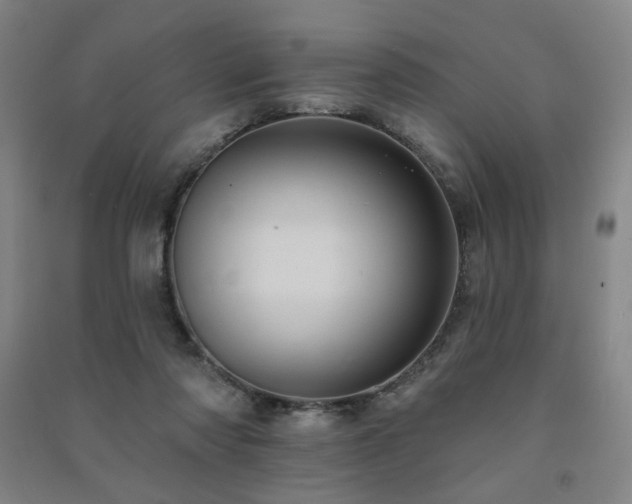X0000091460310200708161527