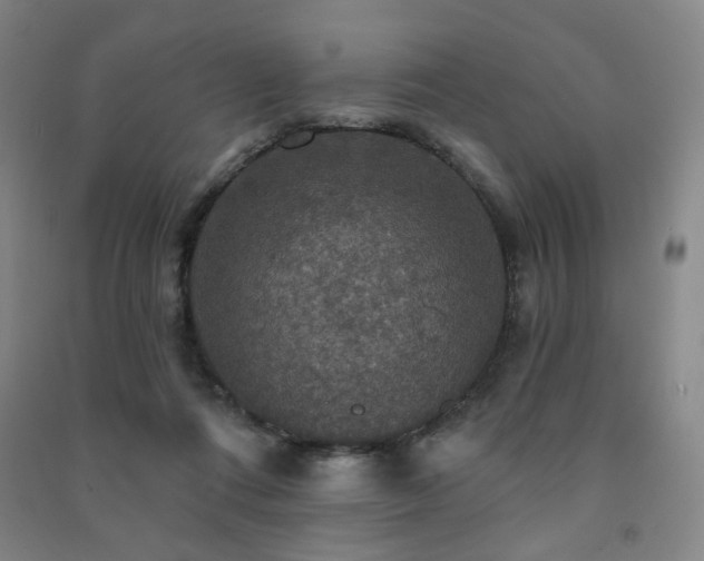 X0000091460312200708161527
