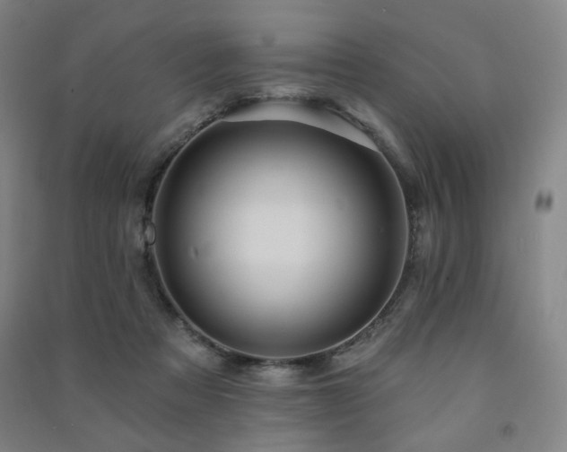 X0000091460313200708161527