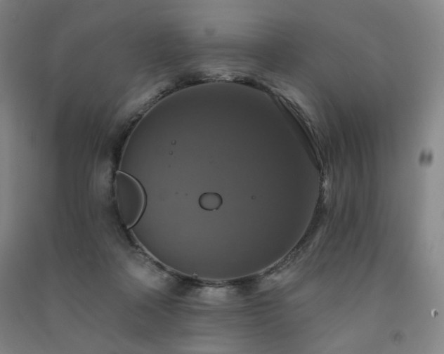 X0000091460314200708161527