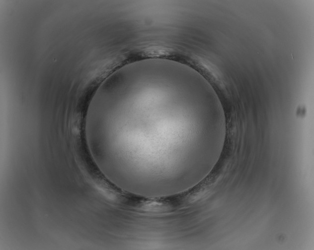 X0000091460315200708161527