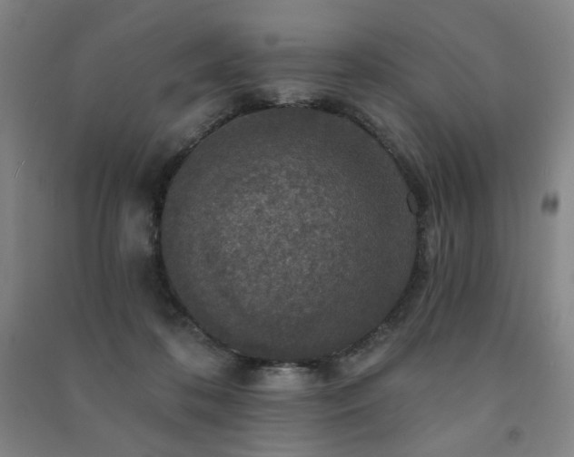 X0000091460316200708161527