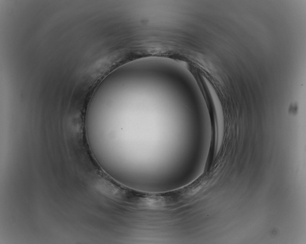 X0000091460317200708161527
