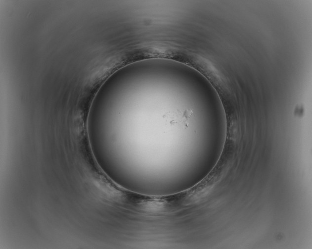 X0000091460318200708161527