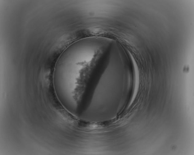 X0000091460319200708161527