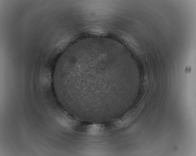 X0000091460320200708161527