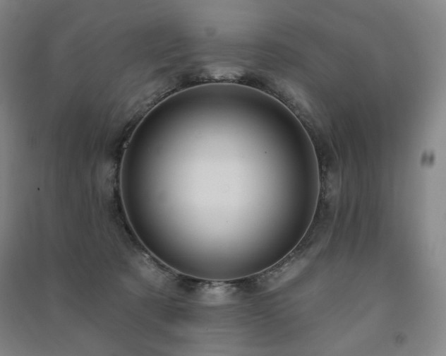 X0000091460321200708161527