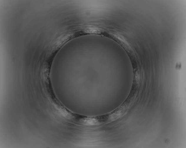 X0000091460322200708161527