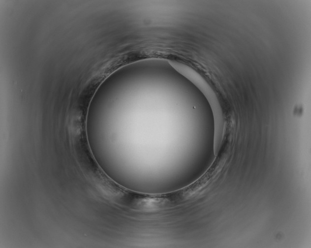 X0000091460323200708161527