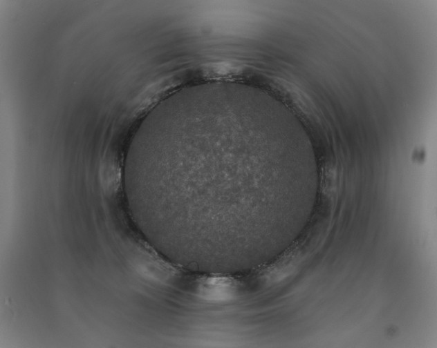 X0000091460324200708161527