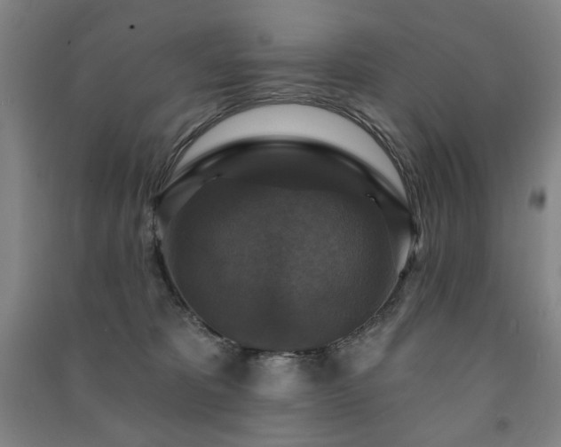 X0000091460325200708161527