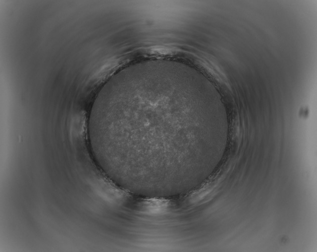 X0000091460328200708161527