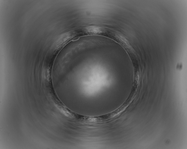 X0000091460330200708161527