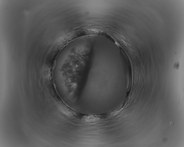 X0000091460331200708161527